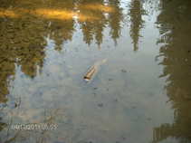 foto/diskuze/damska_jizda/2011/th-img41947.jpg