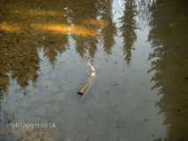 foto/diskuze/damska_jizda/2011/th-img41948.jpg