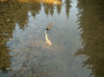 foto/diskuze/damska_jizda/2011/th-img41949.jpg