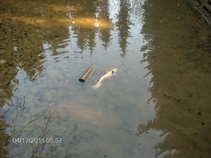 foto/diskuze/damska_jizda/2011/th-img41950.jpg