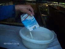 foto/diskuze/damska_jizda/2011/th-img42406.jpg