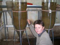 foto/diskuze/damska_jizda/2011/th-img42408.jpg