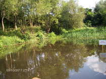 foto/diskuze/damska_jizda/2012/th-img46933.jpg