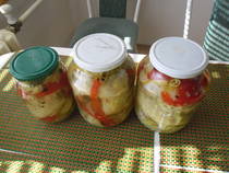 foto/diskuze/damska_jizda/2012/th-img51296.jpg