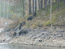 foto/diskuze/damska_jizda/2012/th-img52988.jpg
