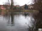 foto/diskuze/dirky/2009/th-img22434.jpg
