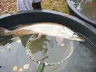 foto/diskuze/dirky/2009/th-img29080.jpg