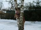 foto/diskuze/dirky/2010/th-img30240.jpg