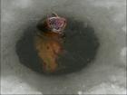 foto/diskuze/dirky/2010/th-img30249.jpg