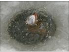 foto/diskuze/dirky/2010/th-img30250.jpg