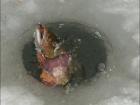 foto/diskuze/dirky/2010/th-img30252.jpg