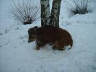 foto/diskuze/dirky/2010/th-img30265.jpg