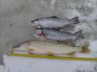 foto/diskuze/dirky/2010/th-img30452.jpg