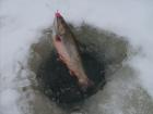 foto/diskuze/dirky/2010/th-img30462.jpg