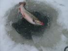 foto/diskuze/dirky/2010/th-img30630.jpg