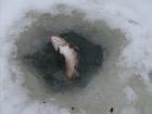 foto/diskuze/dirky/2010/th-img30637.jpg