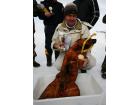 foto/diskuze/dirky/2010/th-img30670.jpg