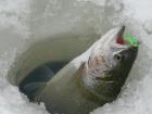 foto/diskuze/dirky/2010/th-img30876.jpg