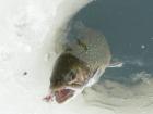 foto/diskuze/dirky/2010/th-img31294.jpg