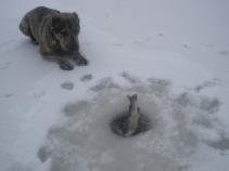 foto/diskuze/dirky/2010/th-img39329.jpg