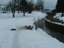 foto/diskuze/dirky/2011/th-img40026.jpg