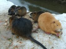 foto/diskuze/dirky/2011/th-img40027.jpg