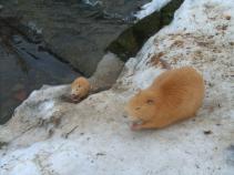 foto/diskuze/dirky/2011/th-img40028.jpg