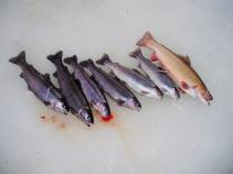 foto/diskuze/dirky/2011/th-img40077.jpg