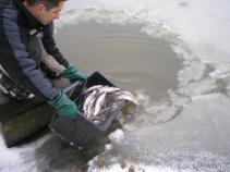 foto/diskuze/dirky/2011/th-img40131.jpg