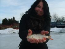 foto/diskuze/dirky/2011/th-img40150.jpg
