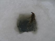 foto/diskuze/dirky/2011/th-img40174.jpg