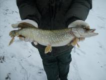 foto/diskuze/dirky/2011/th-img40191.jpg