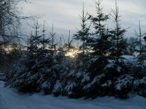foto/diskuze/dirky/2011/th-img40346.jpg
