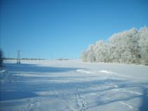 foto/diskuze/dirky/2011/th-img40349.jpg