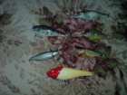 foto/diskuze/domaci_vyroba_wobleru/2008/th-img28086.jpg