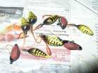 foto/diskuze/domaci_vyroba_wobleru/2009/th-img28548.jpg