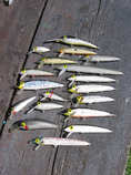 foto/diskuze/domaci_vyroba_wobleru/2011/th-img42048.jpg