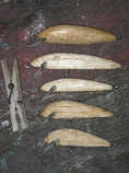 foto/diskuze/domaci_vyroba_wobleru/2011/th-img42096.jpg