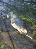 foto/diskuze/domaci_vyroba_wobleru/2011/th-img45229.jpg