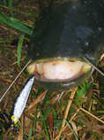 foto/diskuze/domaci_vyroba_wobleru/2011/th-img45230.jpg