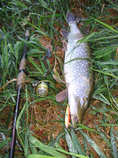 foto/diskuze/domaci_vyroba_wobleru/2011/th-img45558.jpg