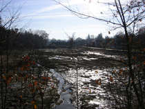 foto/diskuze/domaci_vyroba_wobleru/2011/th-img45878.jpg