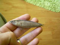 foto/diskuze/domaci_vyroba_wobleru/2012/th-img47316.jpg