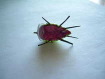 foto/diskuze/domaci_vyroba_wobleru/2012/th-img48250.jpg