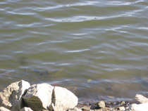 foto/diskuze/domaci_vyroba_wobleru/2012/th-img49087.jpg
