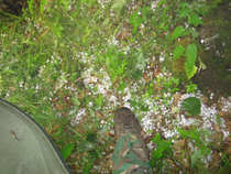 foto/diskuze/domaci_vyroba_wobleru/2012/th-img49613.jpg