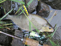 foto/diskuze/domaci_vyroba_wobleru/2012/th-img49939.jpg