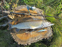 foto/diskuze/domaci_vyroba_wobleru/2012/th-img49978.jpg