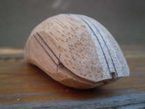 foto/diskuze/domaci_vyroba_wobleru/2012/th-img50384.jpg