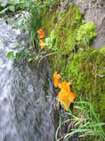 foto/diskuze/domaci_vyroba_wobleru/2012/th-img50844.jpg